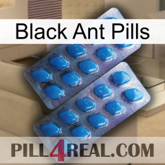 Black Ant Pills viagra2